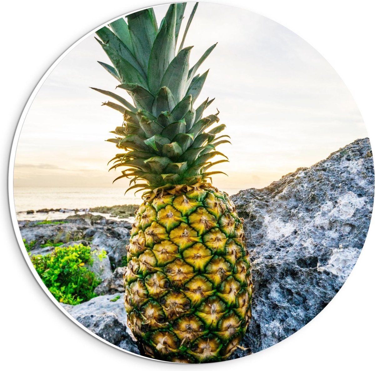 KuijsFotoprint - Schilderij - Gele Ananas Rotsen - Groen, Geel En Grijs - 20 X 20 Cm