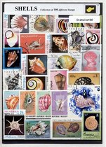 Schelpen – Luxe postzegel pakket (A6 formaat) : collectie van 100 verschillende postzegels van schelpen – kan als ansichtkaart in een A6 envelop - authentiek cadeau - kado - gesche