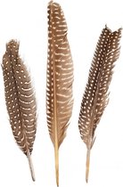 Veer bruin met stipjes 18/20 cm per 20