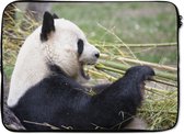 Laptophoes 14 inch - Pandabeer - Dieren - Bamboe - Laptop sleeve - Binnenmaat 34x23,5 cm - Zwarte achterkant