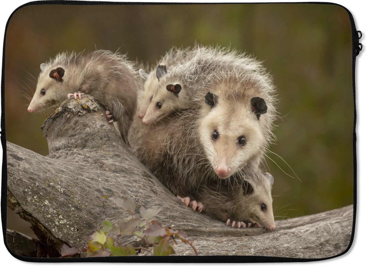 Laptophoes 14 inch - Virginiaanse opossum met jongen - Laptop sleeve - Binnenmaat 33x23 cm - Zwarte achterkant