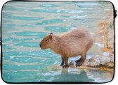 Laptophoes 14 inch - Een Capibara staat bij het water in zacht zonlicht - Laptop sleeve - Binnenmaat 34x23,5 cm - Zwarte achterkant