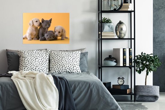 Une affiche représentant deux chiots de couleur claire et deux chatons gris est accrochée au-dessus d'un lit.