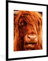 Fotolijst incl. Poster - Schotse Hooglander - Close Up - Koeienkop - 60x80 cm - Posterlijst