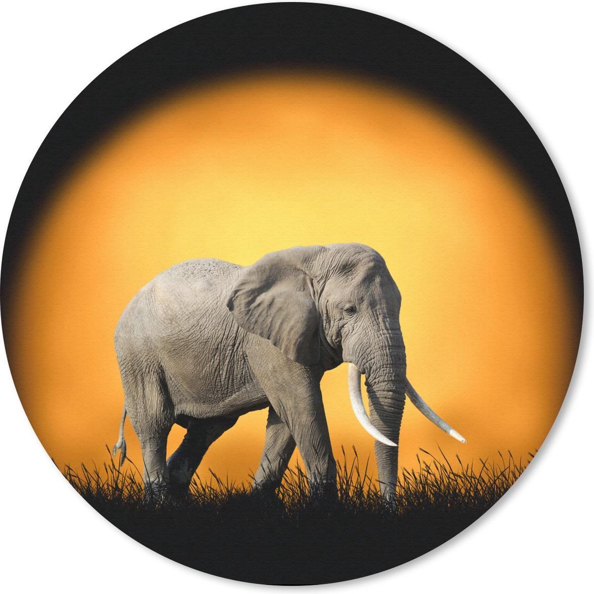 Muismat rond 30x30 cm - Mousepad Olifant - Zon - Tanden - Ronde muismatten