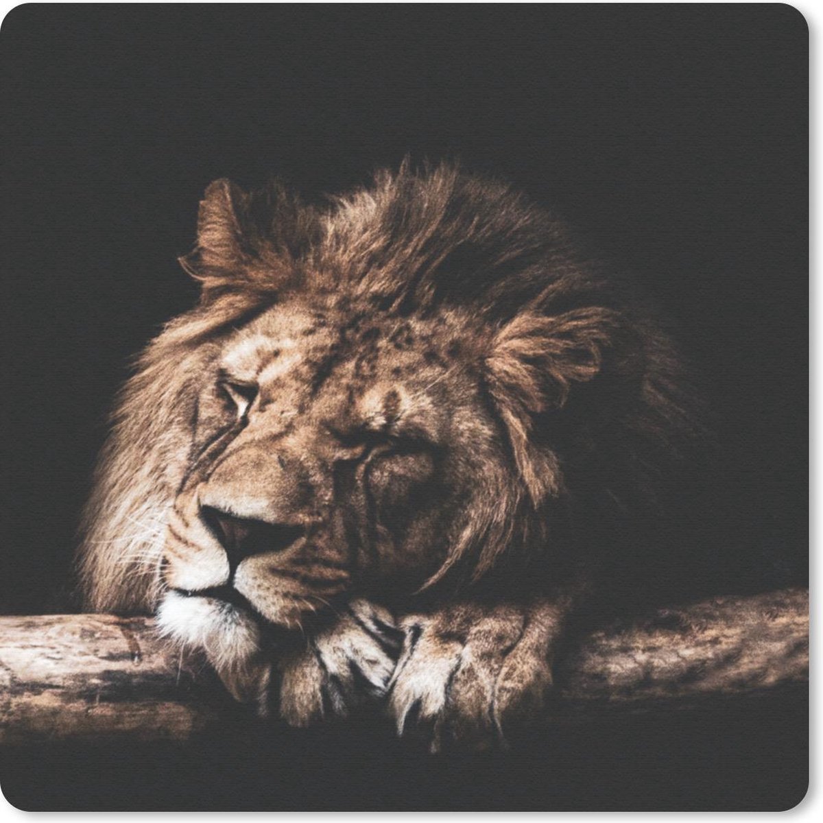 Muismat 20x20 cm - Mousepad Leeuw - Boom - Slapen - Muismatten