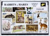 Konijnen en Hazen – Luxe postzegel pakket (A6 formaat) : collectie van 50 verschillende postzegels van konijnen en hazen – kan als ansichtkaart in een A6 envelop - authentiek cadea