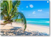 Tropisch strand met palmboom - Tuinposter 70x50 - Wanddecoratie - Natuur