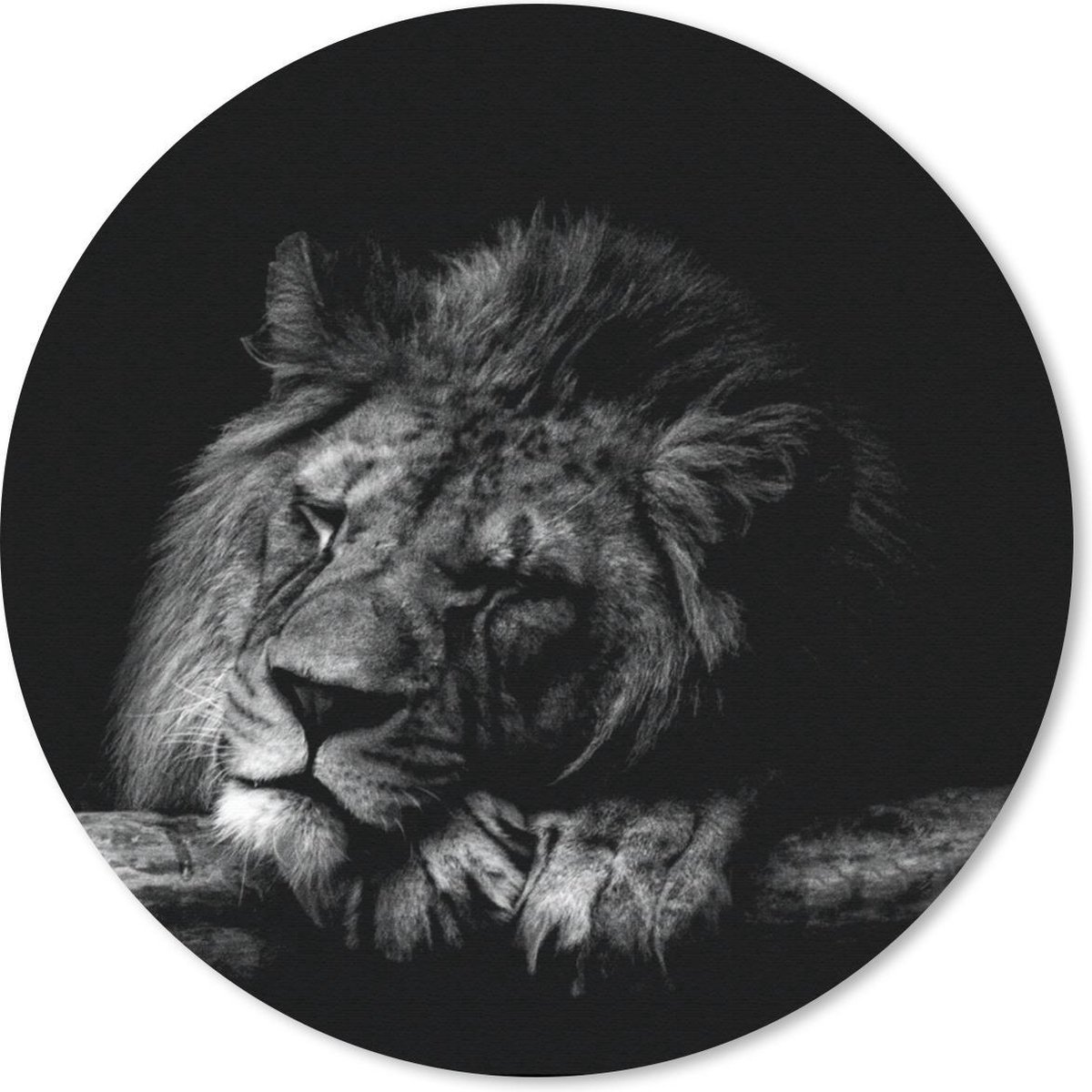 Muismat rond 40x40 cm - Mousepad Leeuw - Boom - Zwart - Wit - Ronde muismatten