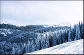 Walljar - Winter Trees - Muurdecoratie - Plexiglas schilderij