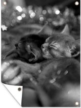 Tuin decoratie Slapende kittens en moeder kat tussen de kerstversiering - zwart wit - 30x40 cm - Tuindoek - Buitenposter