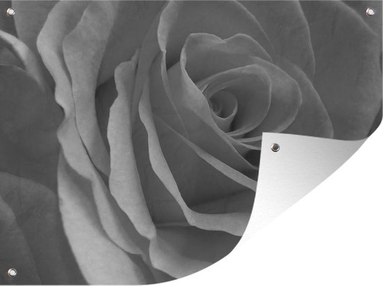 Tuin decoratie Close-up van een roos - zwart wit - 40x30 cm - Tuindoek - Buitenposter