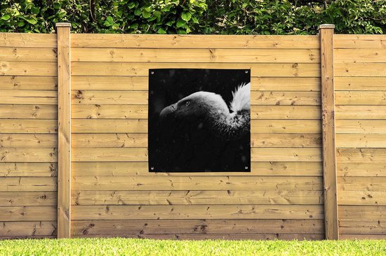 Tissu de jardin Gros plan d'un vautour fond noir - noir et blanc - 100x100 cm