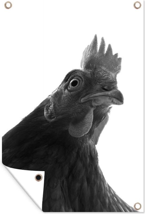 Kip van nabij - zwart wit - Tuindoek
