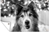 Tuinposter - Tuindoek - Tuinposters buiten - Hond met een strikje - zwart wit - 120x80 cm - Tuin