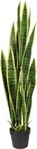 Sanseveria kunstplant 110cm - bont