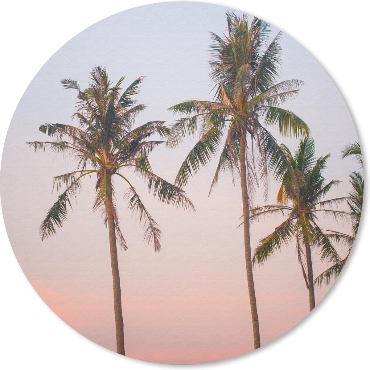 Muismat rond 20x20 cm - Mousepad Tropisch - Palmbomen - Zonsondergang - Ronde muismatten