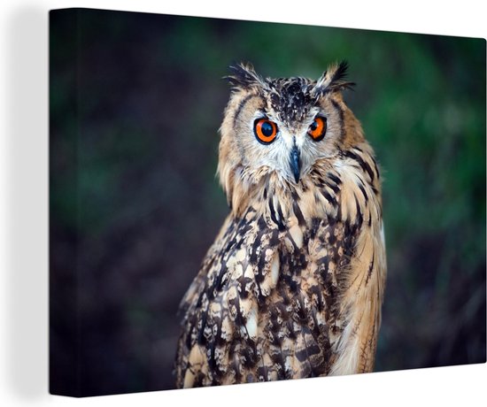 Eagle Owl Canvas 30x20 cm - petit - Tirage photo sur toile (Décoration murale salon / chambre) / Peintures sur toile Animaux