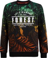 WE Fashion Jongens sweater met bladerendessin