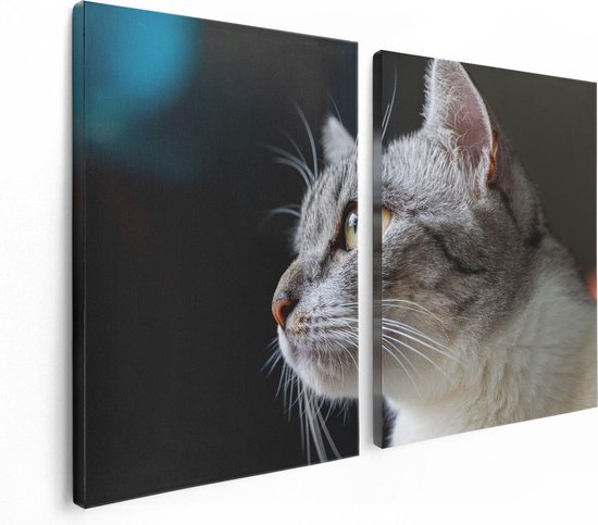 Artaza Canvas Schilderij Tweeluik Kat Met Gele Ogen Van Dichtbij - 120x80 - Foto Op Canvas - Canvas Print