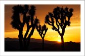 Walljar - Palm Trees At Sunset - Muurdecoratie - Poster met lijst