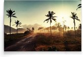 Walljar - Palms And Sunlight III - Muurdecoratie - Poster