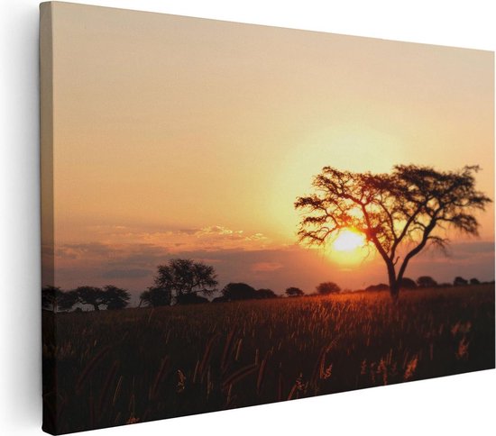 Artaza Canvas Schilderij Zonsondergang Achter Een Acacia Boom - 30x20 - Klein - Foto Op Canvas - Canvas Print