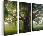 Artaza Canvas Schilderij Drieluik Grote Levensboom Met Veel Takken - 120x80 - Foto Op Canvas - Canvas Print