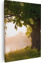 Artaza Canvas Schilderij Eikenboom Aan Het Water Met Volle Bladeren - 40x50 - Foto Op Canvas - Canvas Print