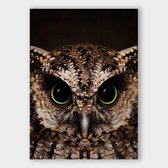 Poster Owl - Papier - Meerdere Afmetingen & Prijzen | Wanddecoratie - Interieur - Art - Wonen - Schilderij - Kunst