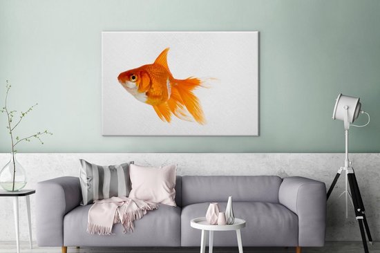 Tableaux sur toile Poisson rouge aquarium