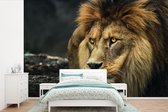 Papier peint - Papier peint photo Lion - Portrait - Sauvage - Largeur 330 cm x hauteur 220 cm