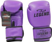 Legend Sports Bokshandschoenen Powerfit & Protect Paars Mt 08oz