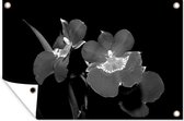 Muurdecoratie Orchideeën tegen een zwarte achtergrond - zwart wit - 180x120 cm - Tuinposter - Tuindoek - Buitenposter