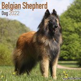 Belgian Shepherd Dog Kalender 2022