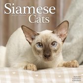 Siamese Cats Kalender 2022