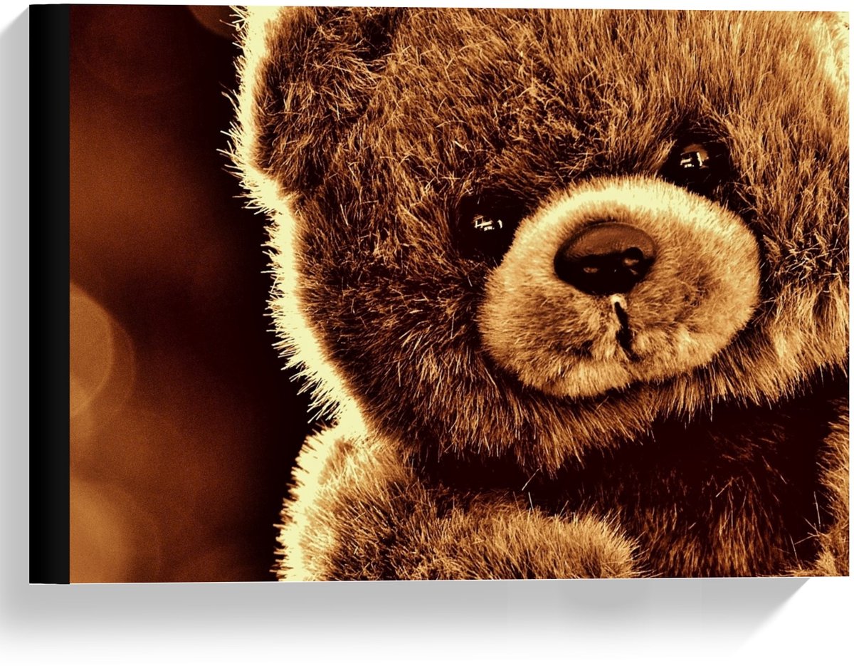 Canvas - Bruine Knuffelbeer met Bruine Achtergrond - 40x30cm Foto op Canvas Schilderij (Wanddecoratie op Canvas)