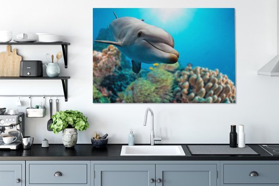 Canvas schilderij 120x80 cm - Wanddecoratie Dolfijn - Zee - Koraal - Muurdecoratie woonkamer - Slaapkamer decoratie - Kamer accessoires - Schilderijen op canvas