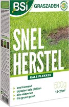 Bsi Grass Seed Fast Recovery 500 G Légume Marron