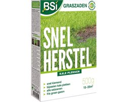 BSI - Graszaad Snel Herstel - 500 g voor 25 m²