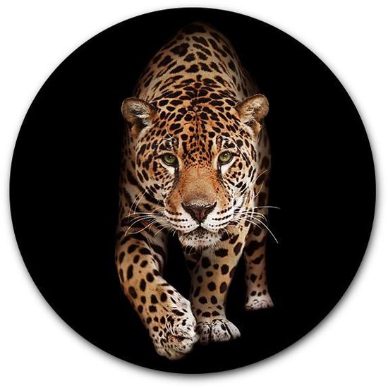 Tuincirkel Panter - WallCatcher | Tuinposter rond 100 cm | Buiten muurcirkel Wild Panther