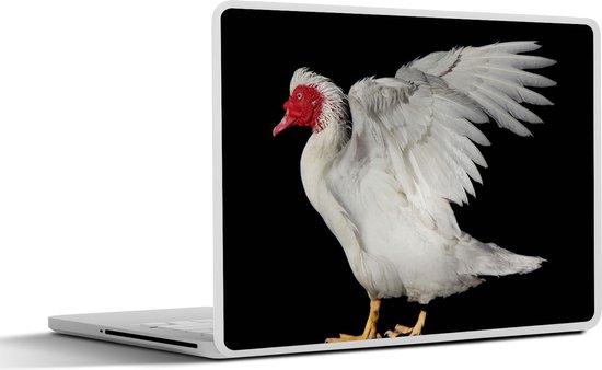 Autocollant alimentaire végétarien pour ordinateur portable