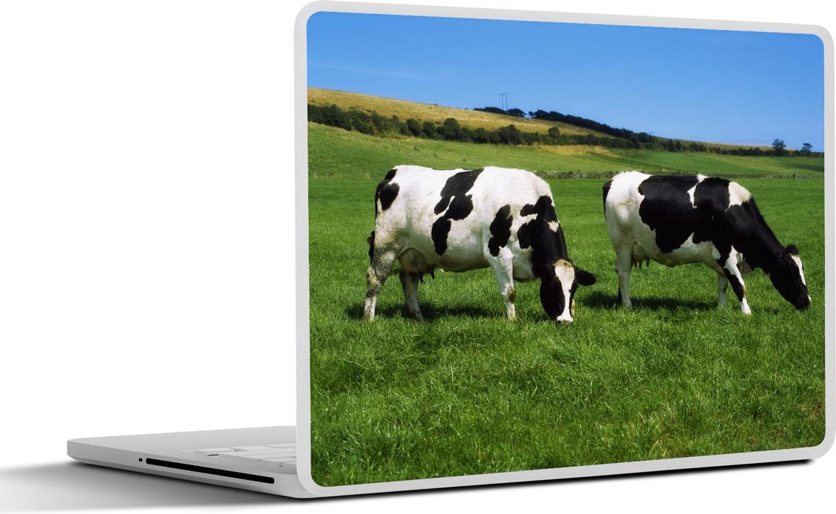 Laptop sticker - 13.3 inch - Koe - Dieren - Gras - 31x22,5cm - Laptopstickers - Laptop skin - Cover