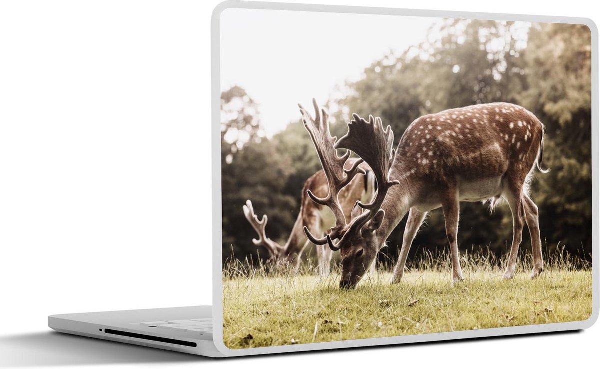 Afbeelding van product SleevesAndCases  Laptop sticker - 11.6 inch - Grazende herten in Denemarken