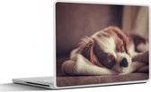Laptop sticker - 14 inch - Kleine hond slaapt op een deken - 32x5x23x5cm - Laptopstickers - Laptop skin - Cover