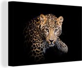 Canvas Schilderij Panter - Zwart - Dieren - 30x20 cm - Wanddecoratie