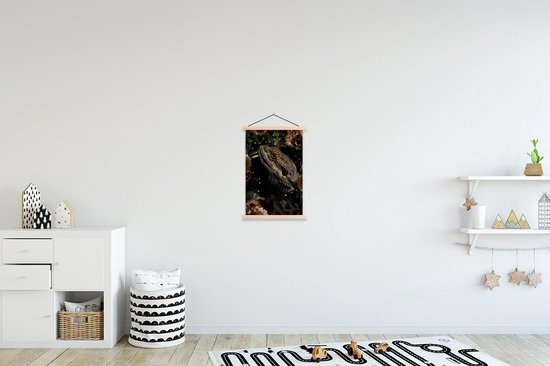 Porte-affiche avec affiche - Affiche scolaire - Reptile - Plantes - Fleurs - 40x60 cm - Lattes vierges