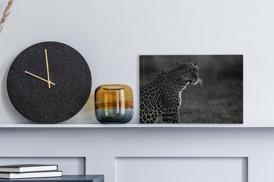 Tableau sur toile Panthère regardant la savanne - noir et blanc - 30x20 cm - Décoration murale Art