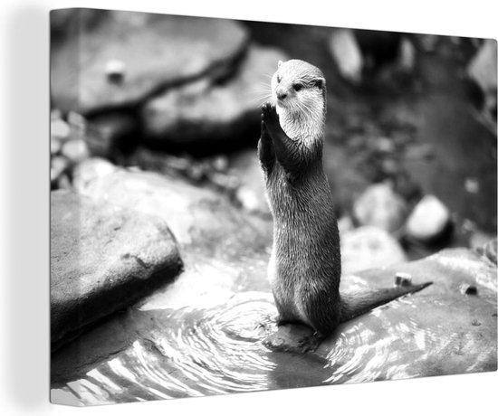 Tableau Peinture Loutre debout - noir et blanc - 150x100 cm - Décoration murale