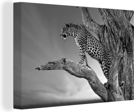 Canvas Schilderij Close-up luipaard in de boom - zwart wit - 60x40 cm - Wanddecoratie